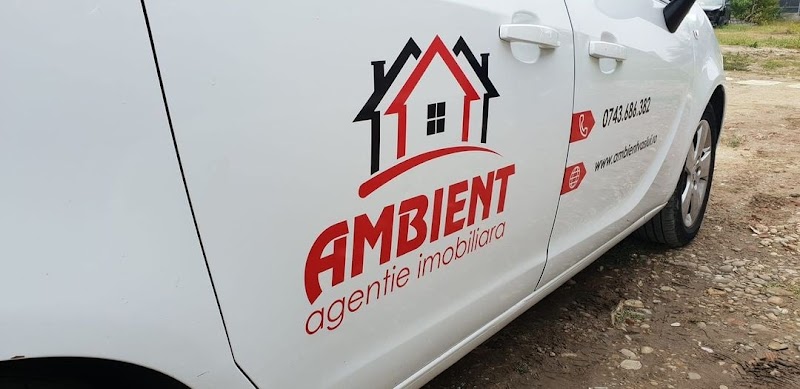 Agentia imobiliara AMBIENT