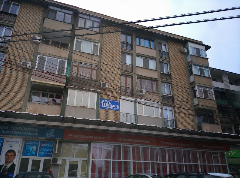 Agentia Imobiliara Tihuana - Ploiești, Prahova