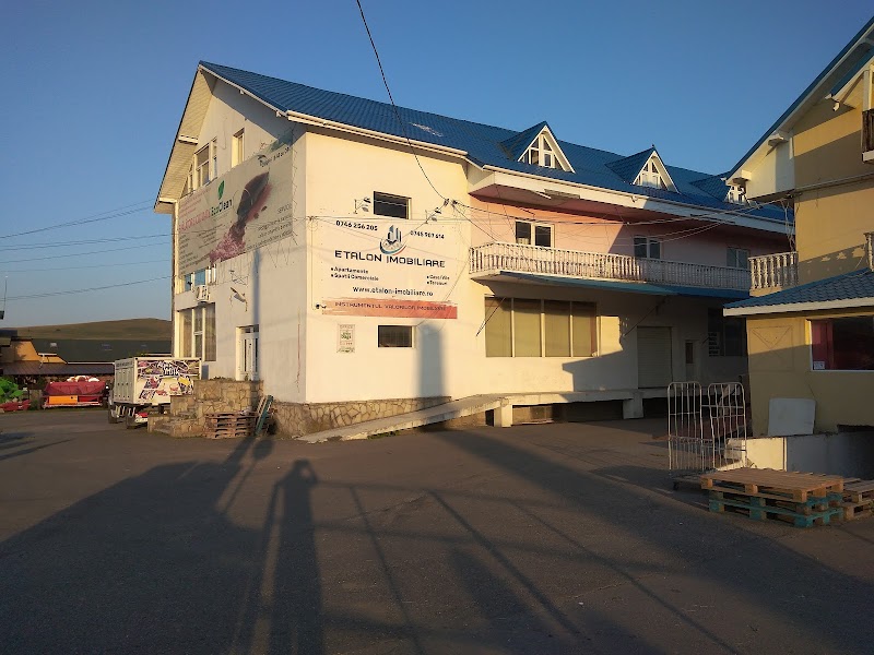 Etalon