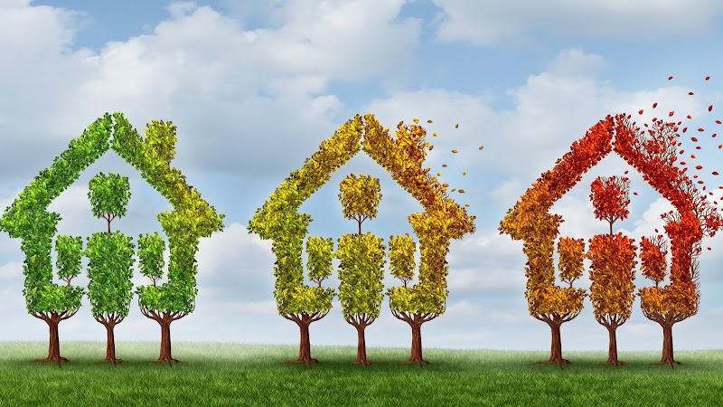 Tri Adymar imobiliare