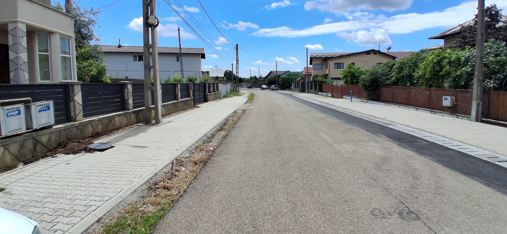 Poza 8