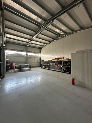 Poza 54