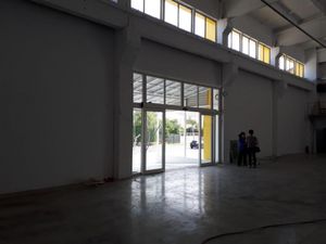 Poza 99