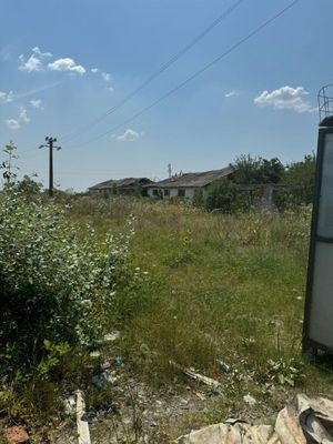 Poza 16