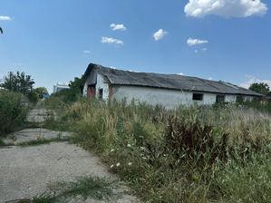 Poza 18