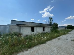 Poza 21