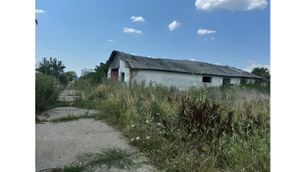 Poza 18