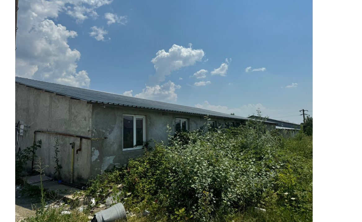 Poza 4