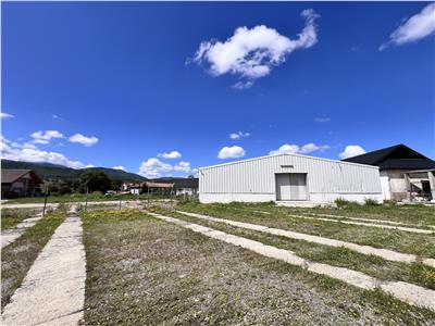Poza 24