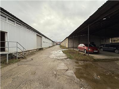 Poza 18