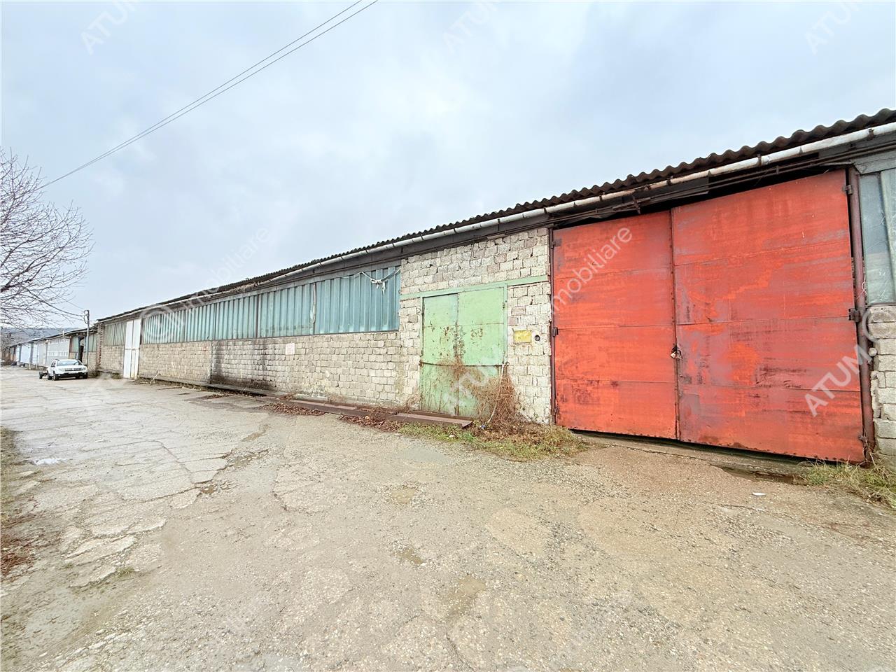 Poza 9