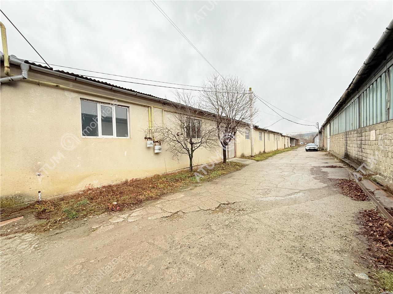 Poza 11