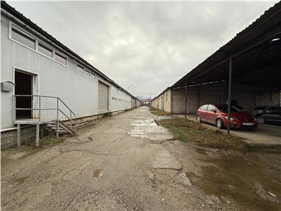 Poza 23