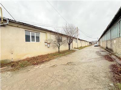 Poza 25
