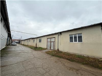 Poza 27