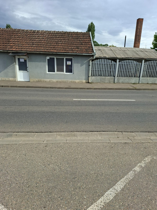 Poza 3
