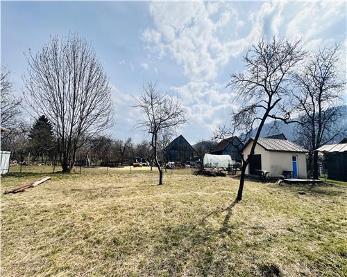 Poza 19
