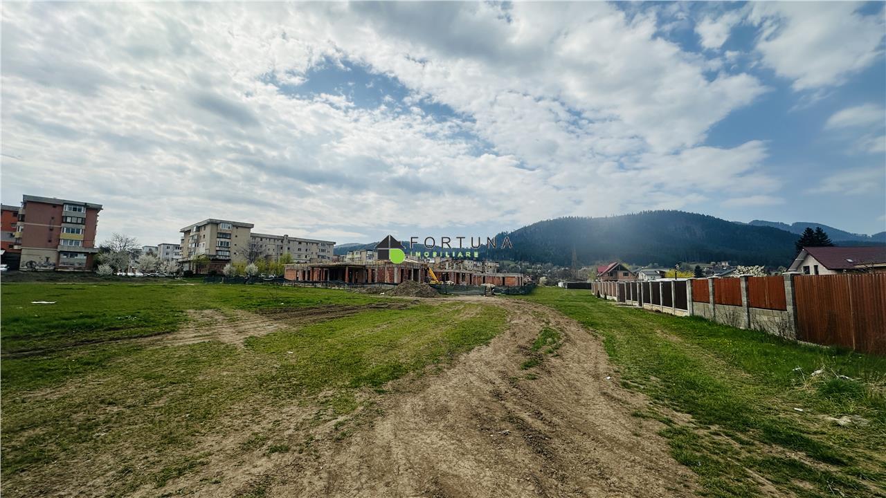 Poza 1