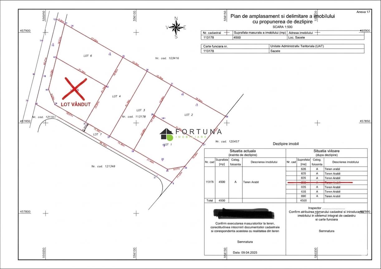 Poza 15