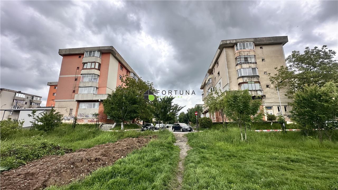 Poza 4