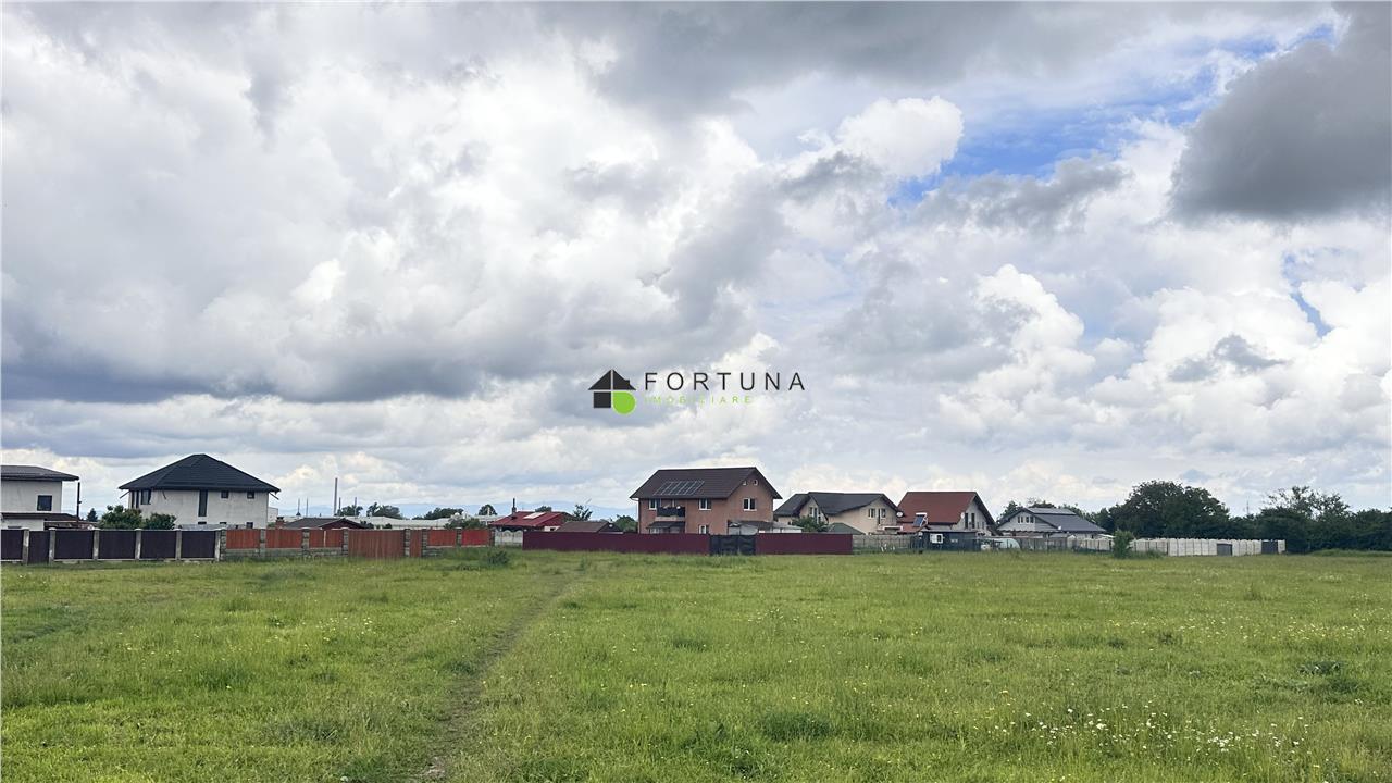 Poza 6