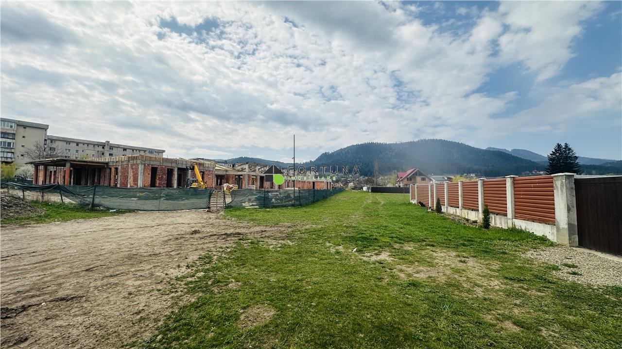 Poza 8