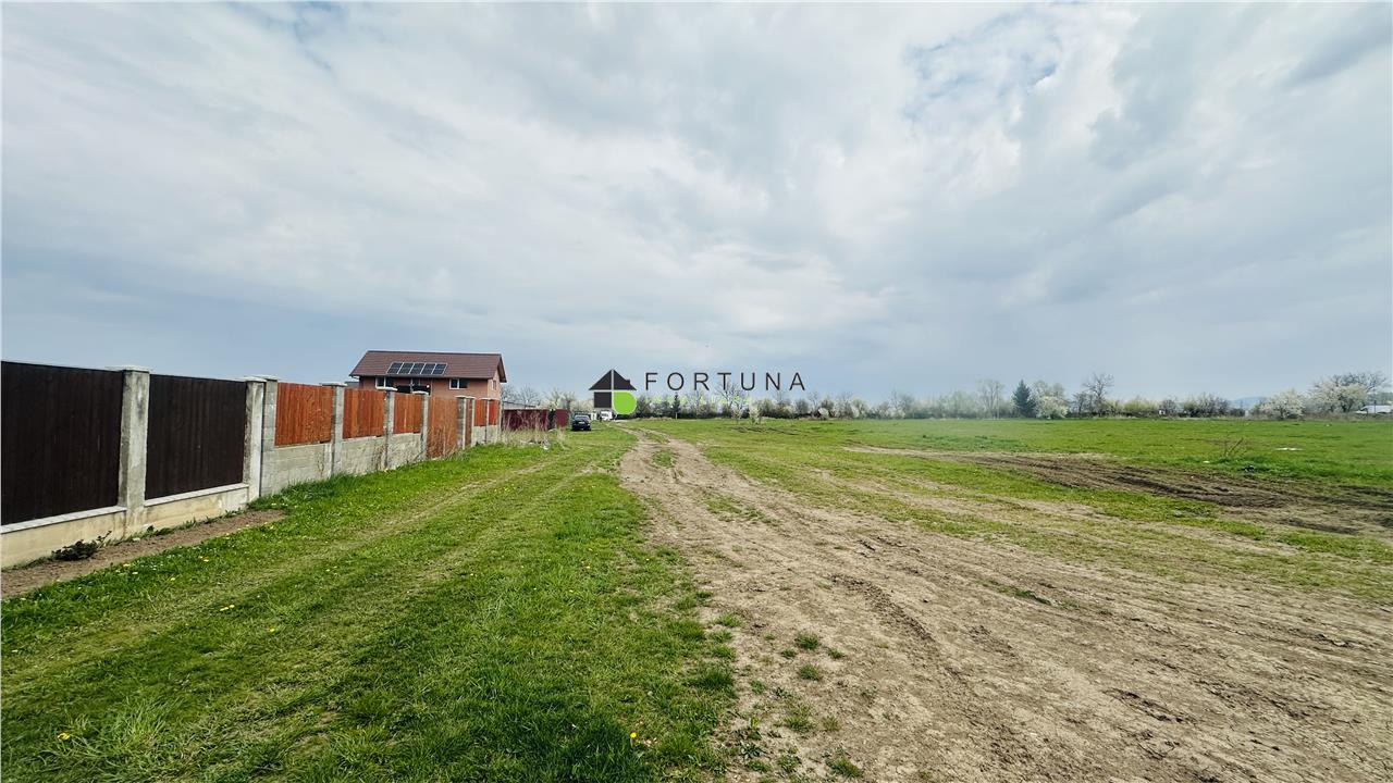 Poza 9