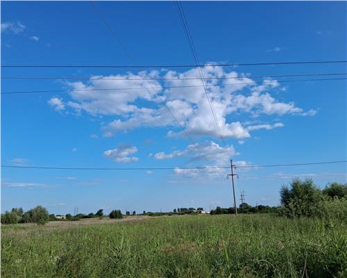 Poza 18