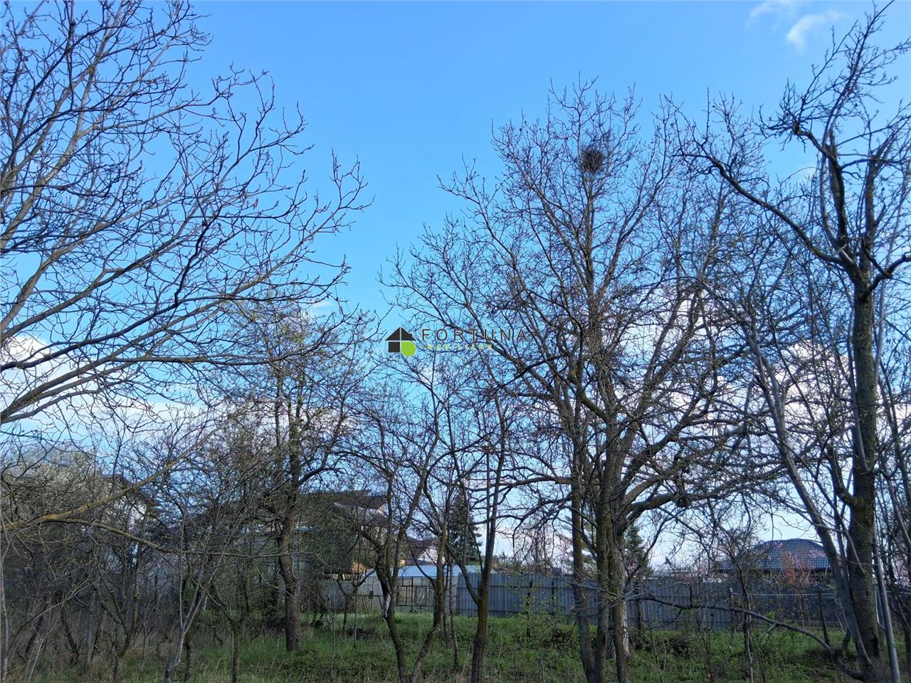 Poza 8