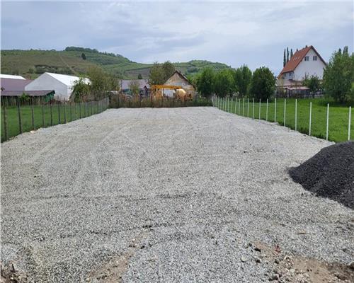 Poza 5