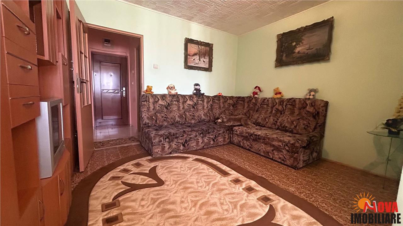 Poza 5