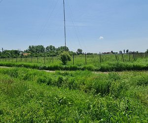 Poza 28