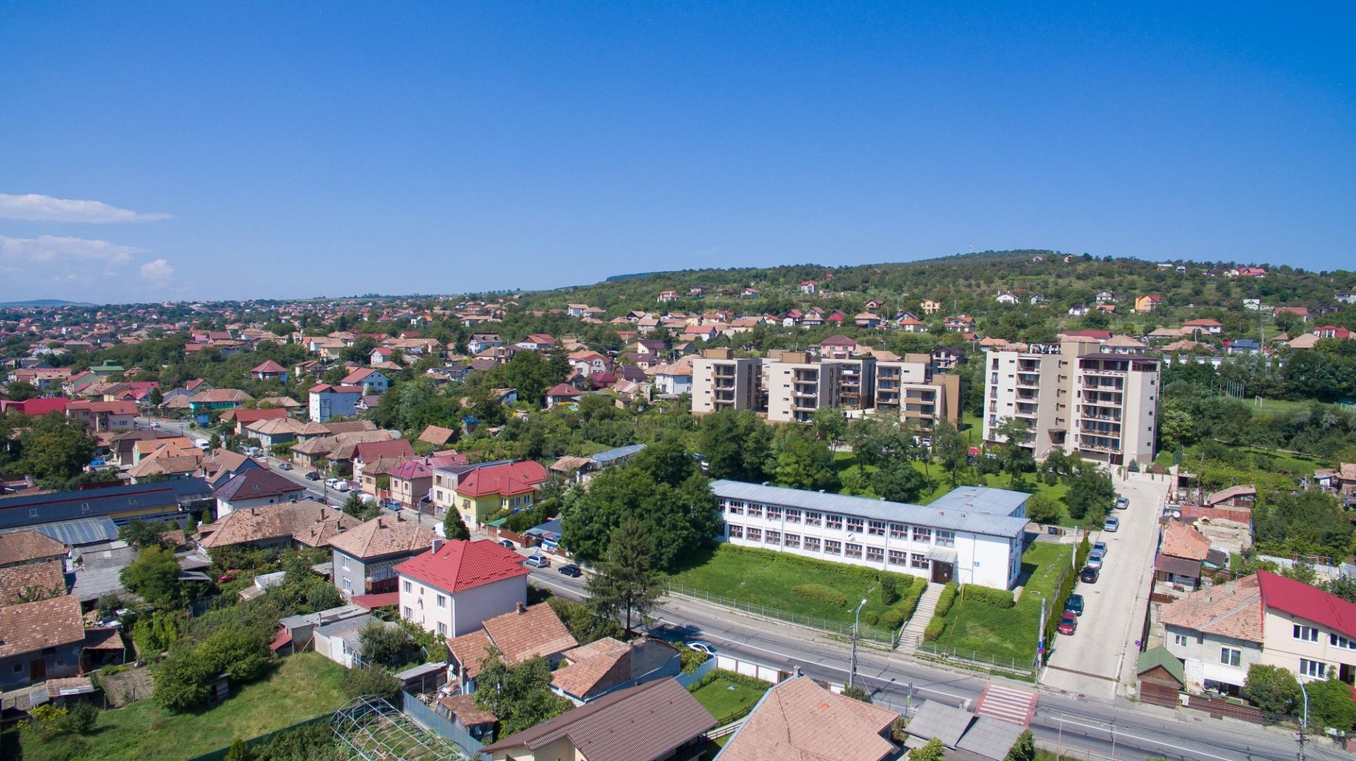 Poza 36