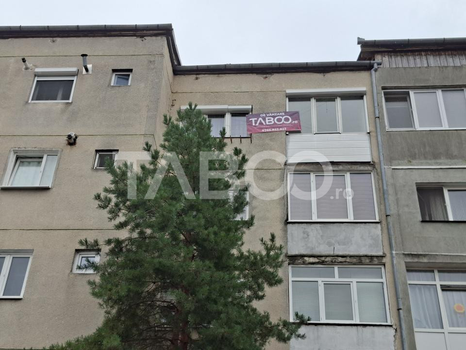 Poza 12