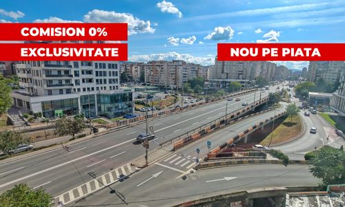 Poza 17
