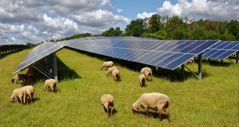 Agrivoltaice