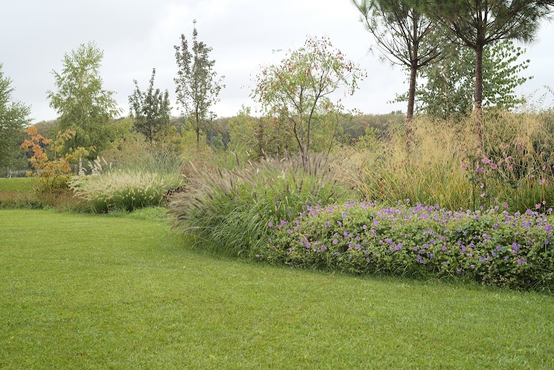 Alexandru Gheorghe - landscaper - Gardening