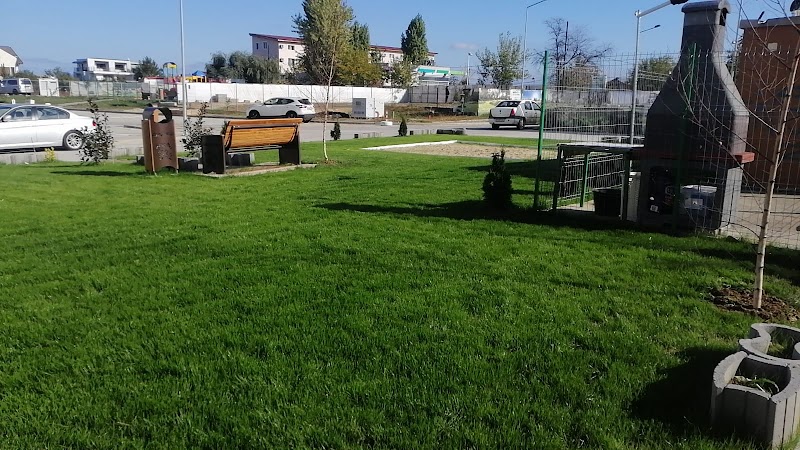 Amenajări Grădini