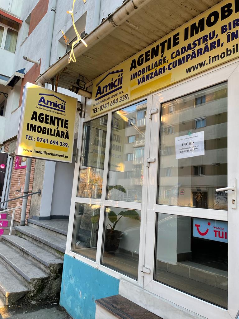 Amicii Real Estate