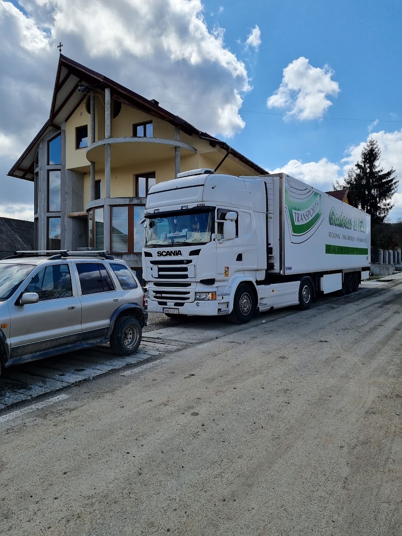 Amira Total Spedition