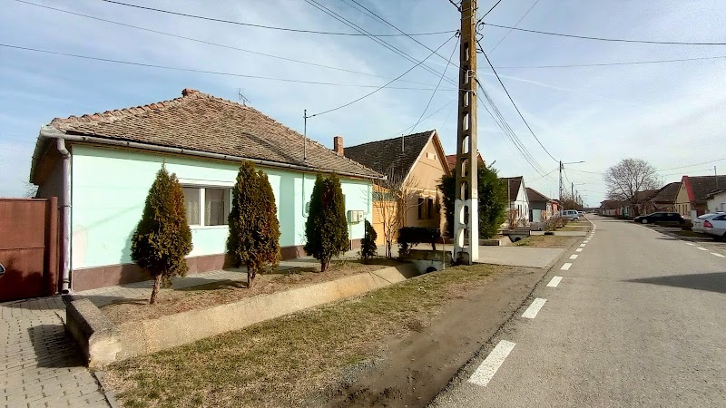 Arad Realestate