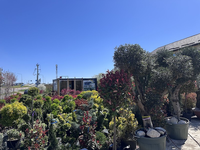 Art Garden