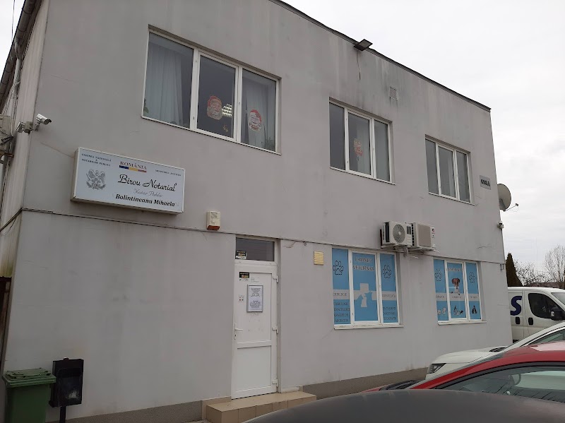 Birou Individual Notarial Bolintineanu Mihaela