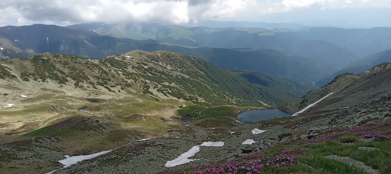 Cadastru Intabulare Certificat Energetic Pitești - Grafic Map Land