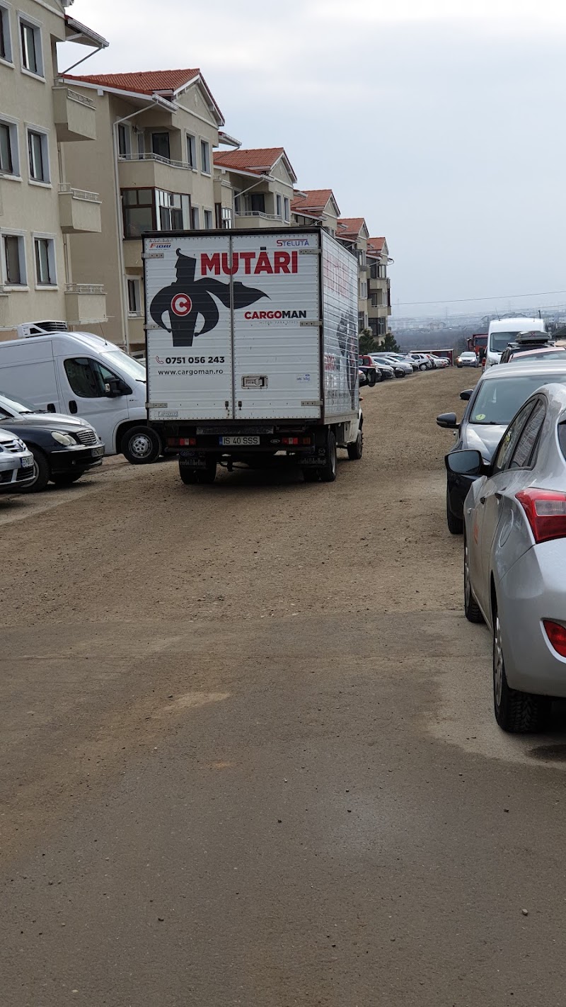 Cargoman - moving furniture Iasi