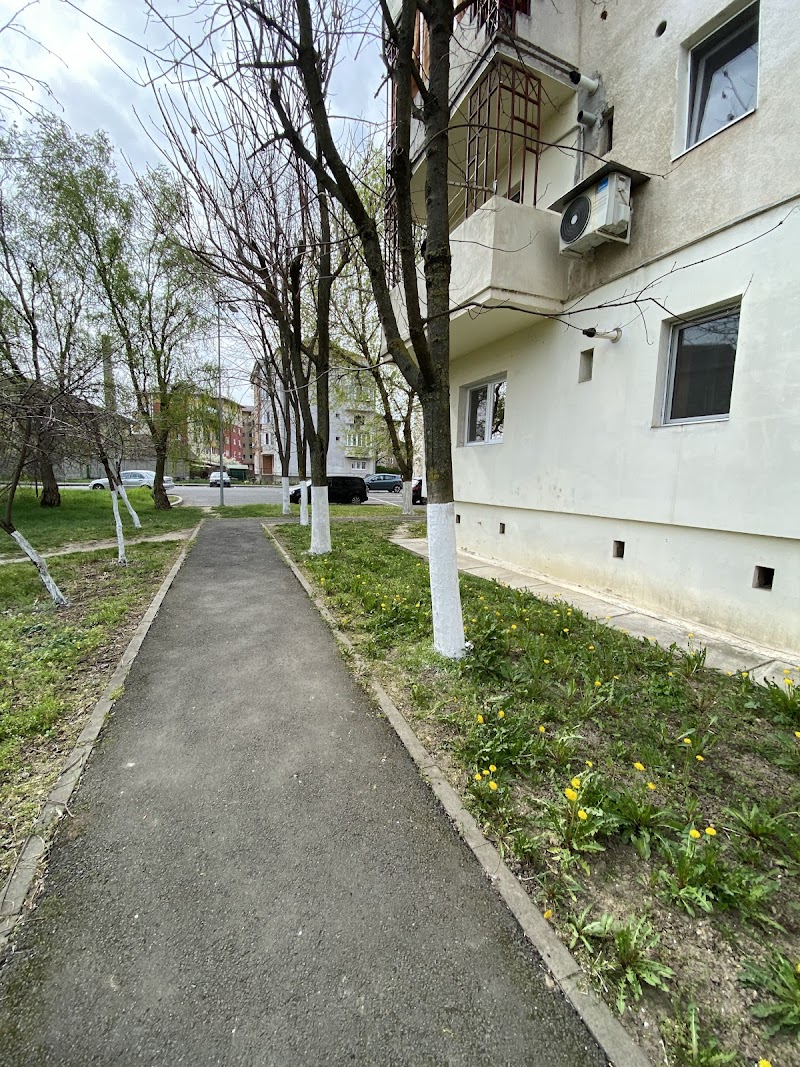 Casa Țiplă Arad