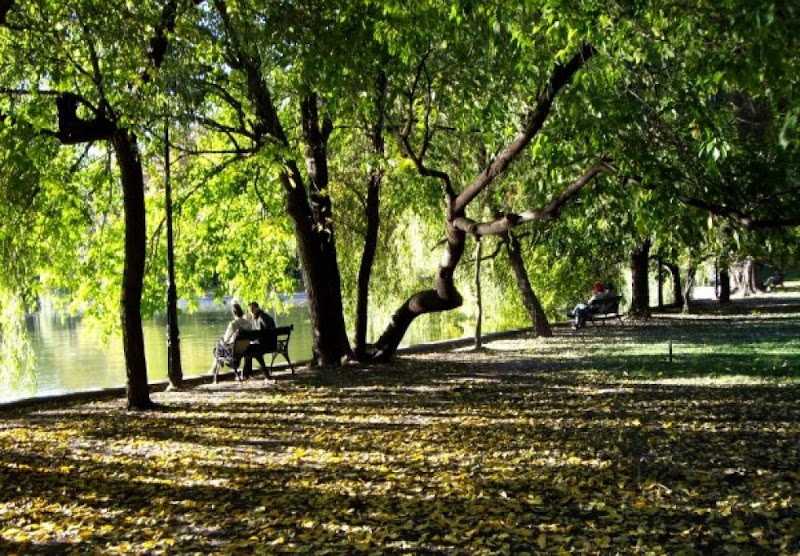 Cișmigiu Garden