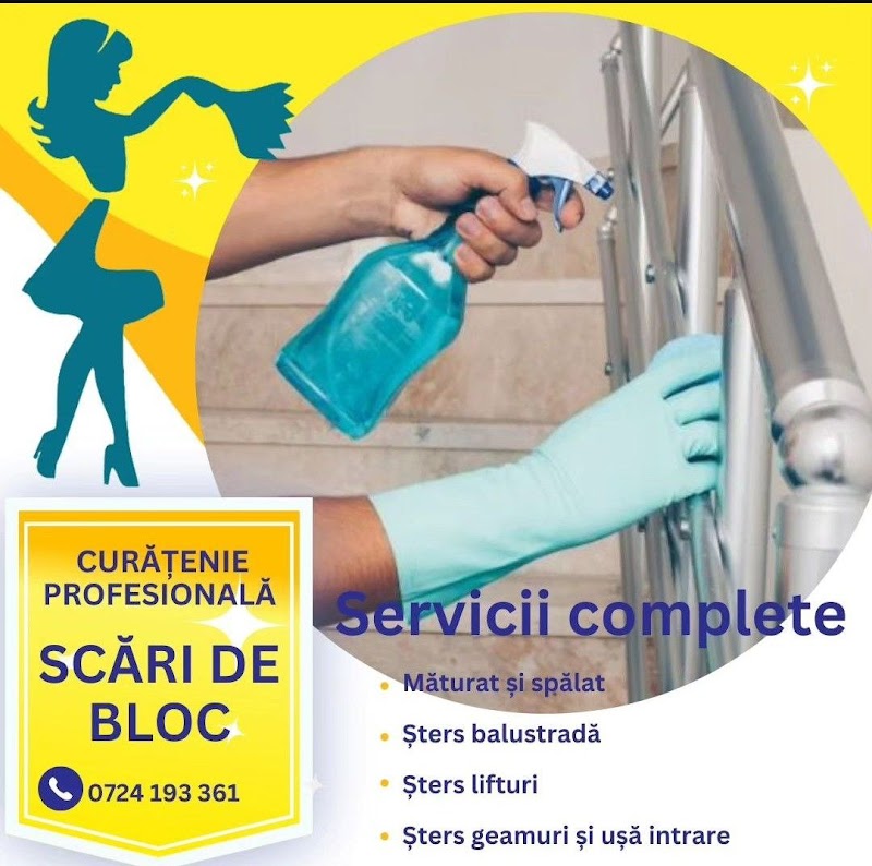 Clean House and More - Servicii profesionale de curatenie
