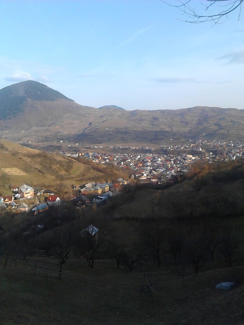 Cobzalău Construct SRL