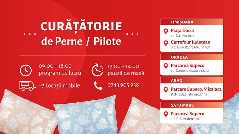 Curățătorie de perne și pilote din puf și pene Satu Mare